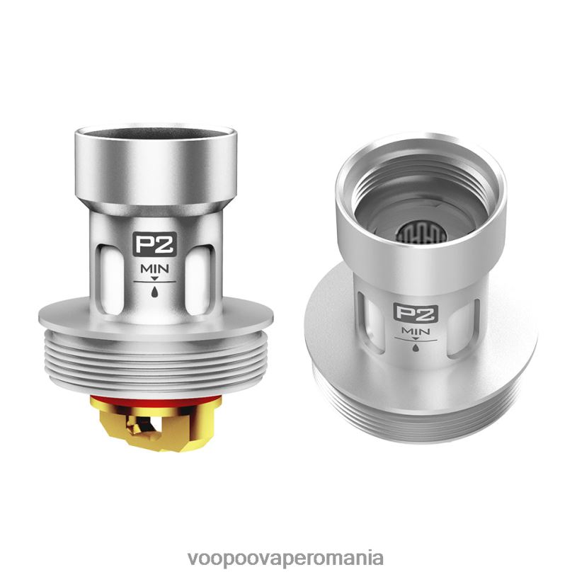 p2 0,6 ohmi